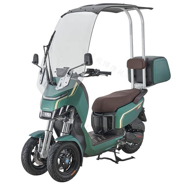 
Doufenglongshark S1 110 inverted three-wheeled fuel motorcycle electric tricycle assisted scooter with shed to be registered