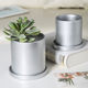 Straight matte gold silver cylindrical ceramic flower pot indoor and outdoor desktop flowers floor floral pot with tray
