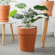 Red pottery flower pot international tall and thin round wide-edged clematis rose green plant large clay breathable pot clearance
