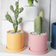 Morandi clay straight cylinder cylindrical Nordic colorful flower pot indoor succulent flowers and green plants simple pot with tray
