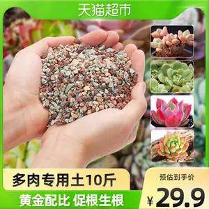 植物土 新人首单立减十元 22年8月 淘宝海外