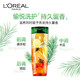 L'Oreal Green Bottle Tea Tree Extracts Dandkerchief Oil and Oil Men's Shampoo Looping Fragrant Fragrance Set Official Genuine