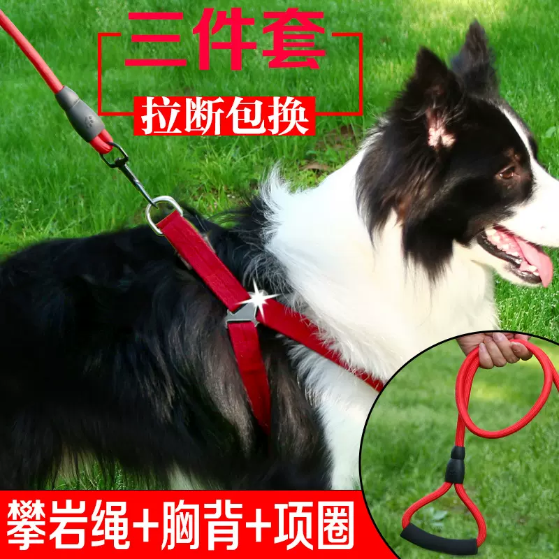 狗狗牵引绳狗链子宠物胸背中小型犬遛狗绳链项圈