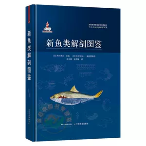 鱼类解剖图鉴- Top 100件鱼类解剖图鉴- 2023年5月更新- Taobao