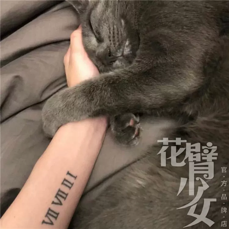 花臂少女tattoo Z60 罗马数字1到10字符手臂纹身贴刺青一