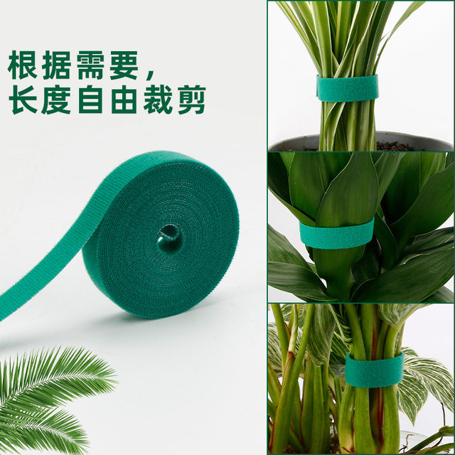 Plant straps, climbing vines, plant-shaped Velcro, double-sided gardening sticky straps, flower fixed tie support ties
