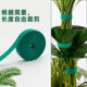Plant straps, climbing vines, plant-shaped Velcro, double-sided gardening sticky straps, flower fixed tie support ties