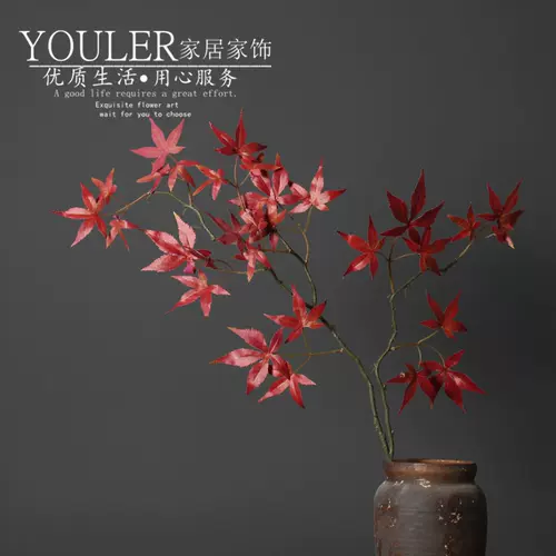 红叶枫树 新人首单立减十元 22年1月 淘宝海外