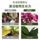 Phalaenopsis special fertilizer nutrient solution to promote flowering arrow flower fertilizer water-soluble fertilizer nutrient fertilizer orchid organic hydroponic liquid fertilizer