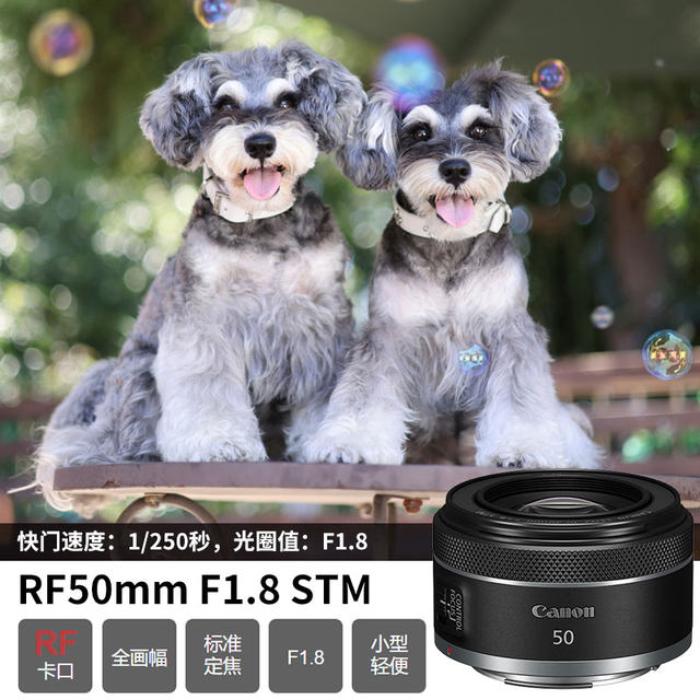 Canon rf50 1.8 small spittoon fixed focus lens full large aperture standard portrait micro single lens R50 R10 R8