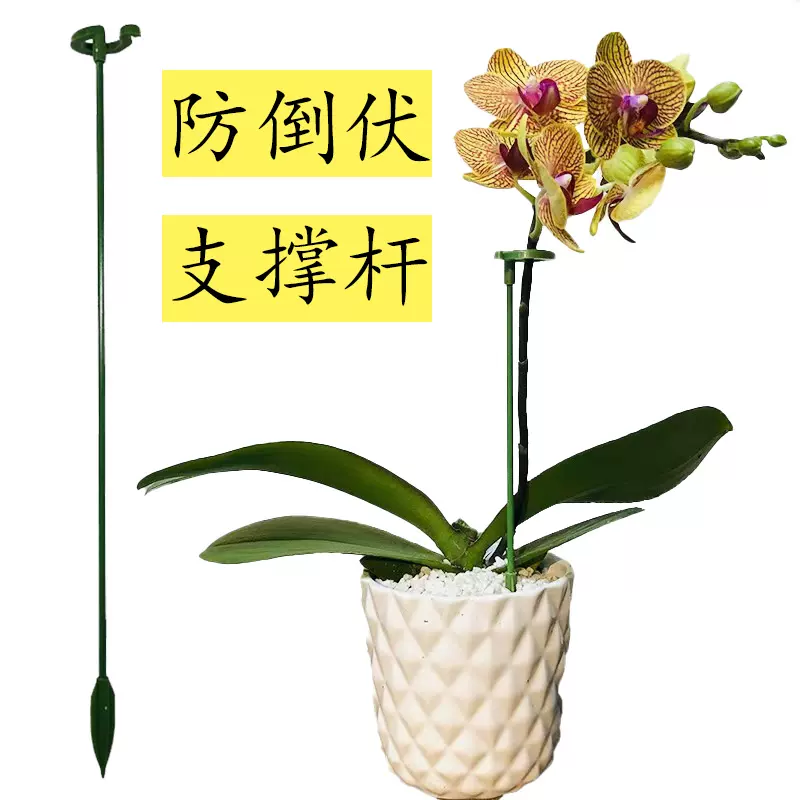 蝴蝶兰多肉花架子支架固定器植物定造型花卉盆栽支撑杆防倒伏