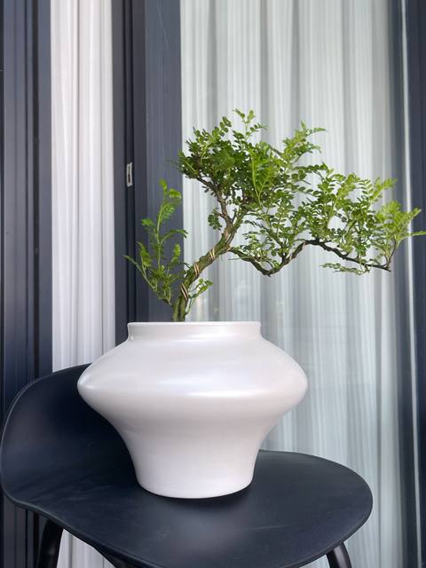 New Chinese Zen Ceramic Flower Pot High-end Bonsai Art Creative Flower Appliance Desktop Decoration Flowing Spring Maple Green Planting Pot