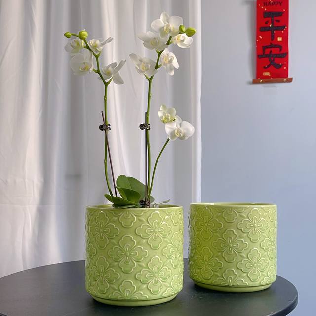 Export Nordic handmade flower pots, unique simple relief glazed ceramics, designer Phalaenopsis green flower pots