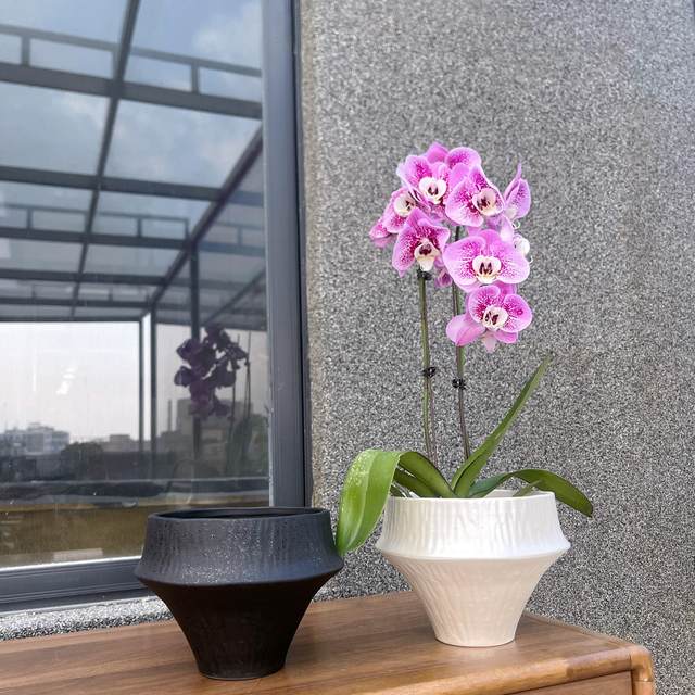 Minimalist style pot niche simple style personalized potted plant wabi-sabi style zen style living room hotel sample room green plant pot