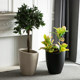 Light luxury high-end floor-standing slanted flower pot black diamond rubber tree bird of paradise lily bamboo magnesium mud flower pot large size