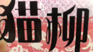 柳公仔 新人首单立减十元 22年7月 淘宝海外