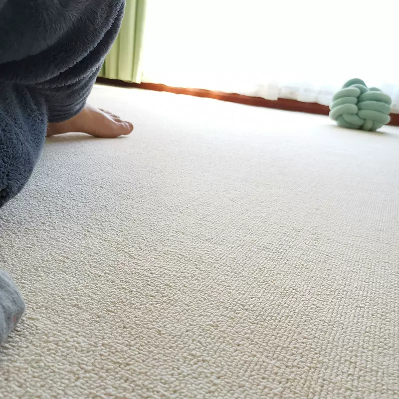 短毛地毯订做 新人首单立减十元 2021年11月 淘宝海外