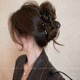 Autumn temperament ~ Niche design grabber clip for women 2025 new shark clip high-end hair clip large hair accessory