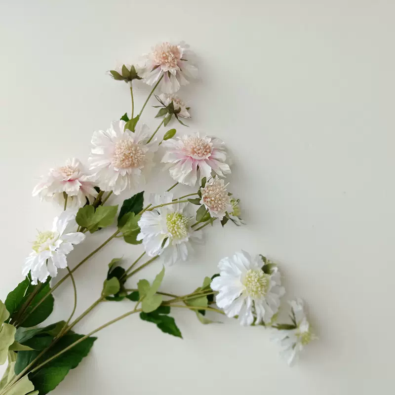 人造花白 新人首单立减十元 21年11月 淘宝海外