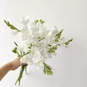 水仙花束 新人首单立减十元 22年7月 淘宝海外