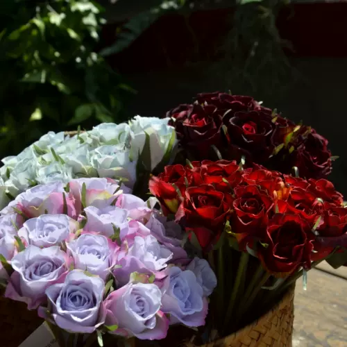 多色花蔷薇 新人首单立减十元 22年2月 淘宝海外