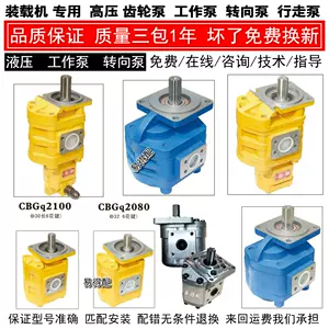 装载机工作泵 新人首单立减十元 22年3月 淘宝海外