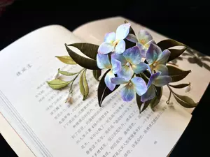 草木卉 新人首单立减十元 22年6月 淘宝海外