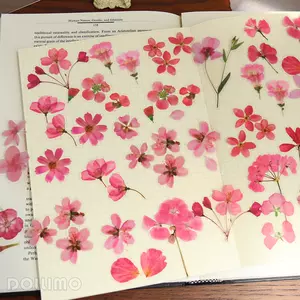 透明樱花瓣 新人首单立减十元 22年3月 淘宝海外