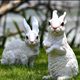 Villa gardening courtyard furnishings, home garden decorations, garden landscaping, creative simulation rabbits