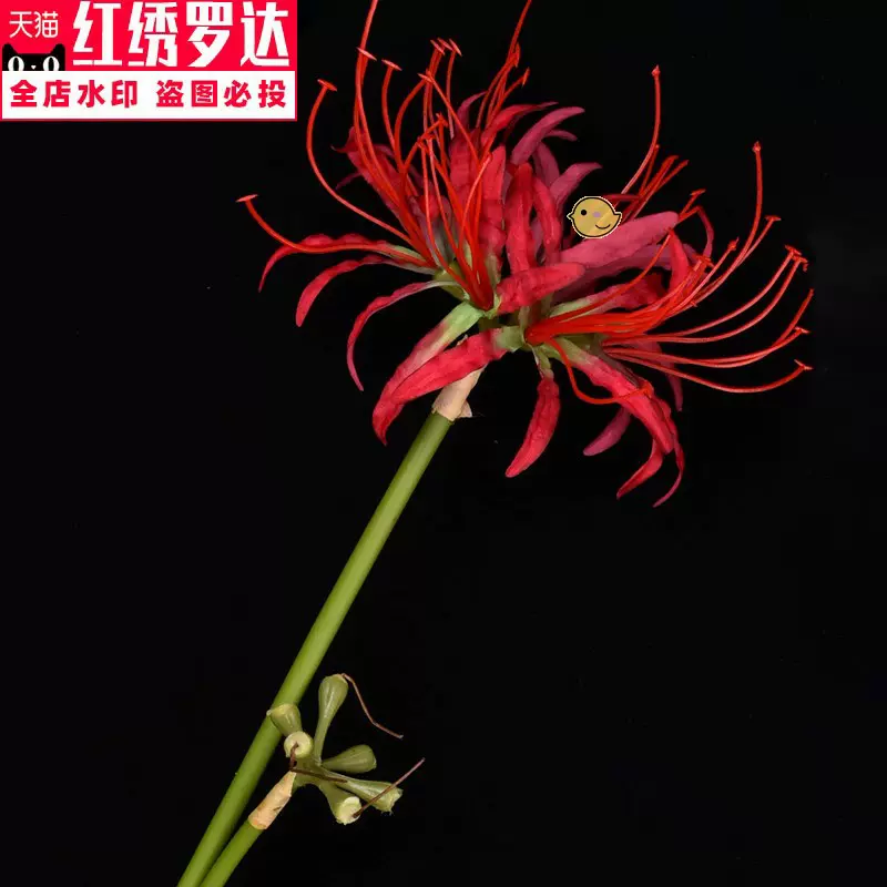 仿真彼岸花道具-新人首单立减十元-2021年10月淘宝海外