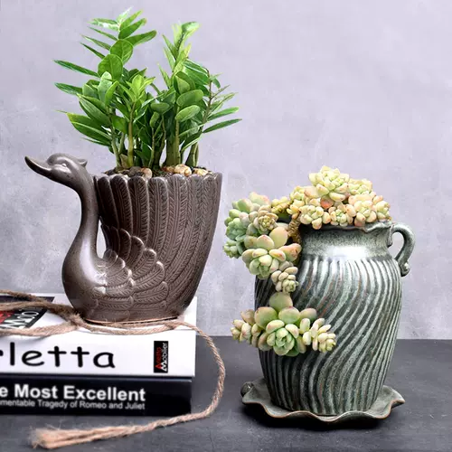 黑色多肉花器 新人首单立减十元 22年2月 淘宝海外