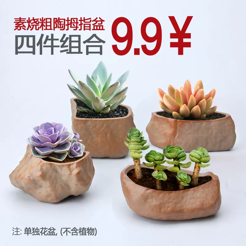 随机8个素烧多肉花盆多肉植物花盆肉肉盆陶瓷