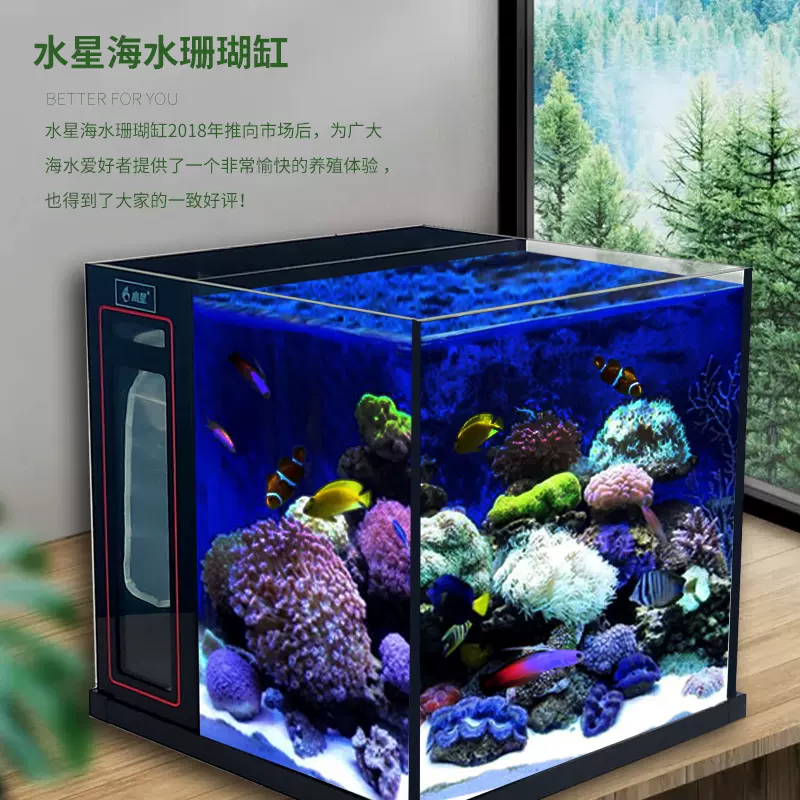 孔雀鱼缸水草 新人首单立减十元 22年1月 淘宝海外 孔雀鱼缸水草 新人首单立减十元 22年1月 淘宝海外