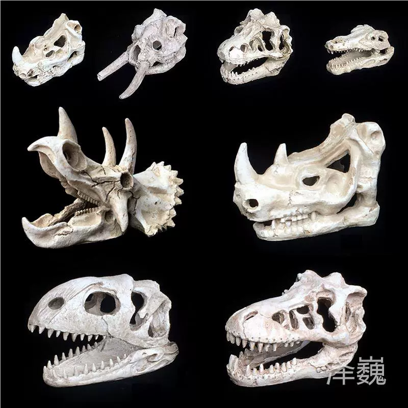 仿真化石头骨 新人首单立减十元 21年11月 淘宝海外