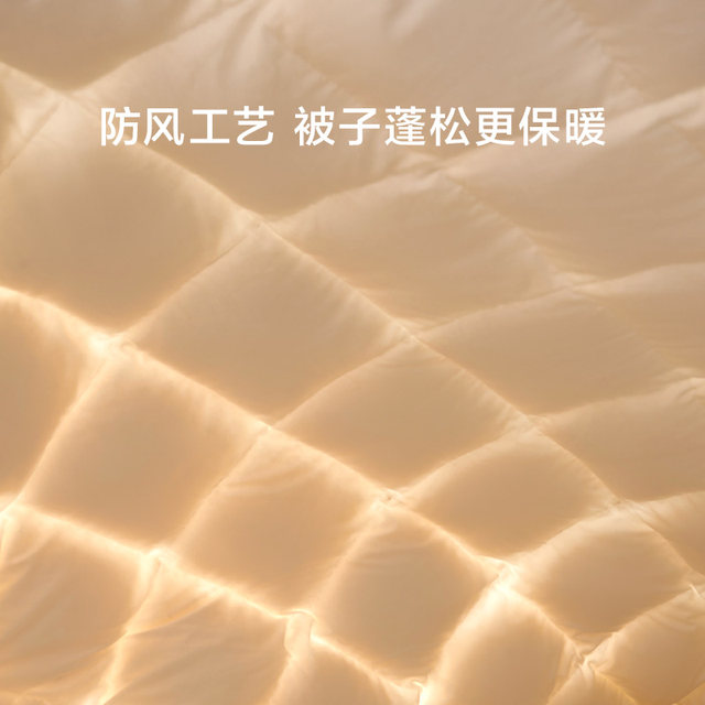 Luolai Home Textiles Down Quilt Core 95 white goose down quilt fluffy and warm spring and autumn quilt Tianshan Snow Goose thickened winter quilt
