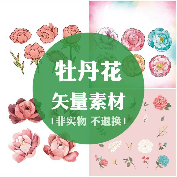 A0628牡丹花鲜花卡通水彩仿真植物花卉节日eps设计素材ai矢量图