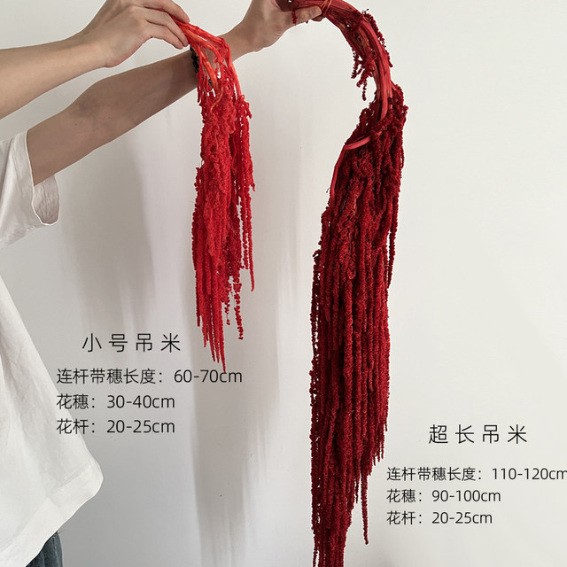 Hanging Rice Flower Hanging rice eternal flowers, soft silk wedding celebration red millet ...