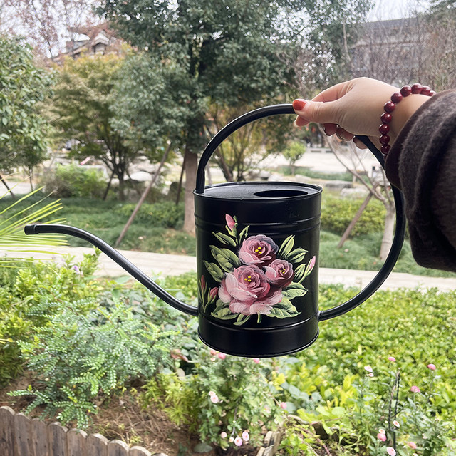 The master's hand-painted rose iron kettle~ pastoral style iron long mouth shower gardening watering kettle sprinkler kettle
