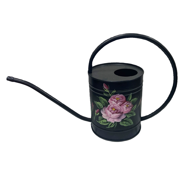 The master's hand-painted rose iron kettle~ pastoral style iron long mouth shower gardening watering kettle sprinkler kettle
