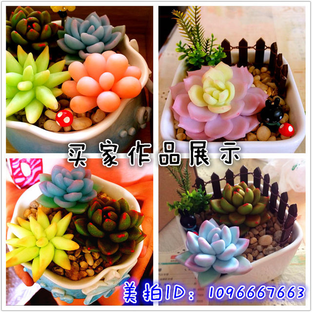 500g large bag of resin, soil cold porcelain jade soil, plastic plastic clay mud, succulent puppet cute, transparent Korean food and game
