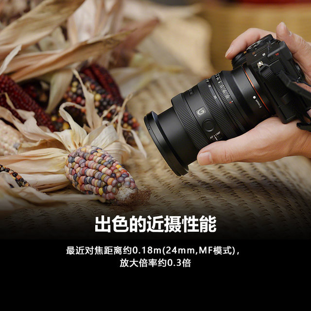 Sony/Sony FE 24-50mm F2.8 zoom G lens SEL2450G