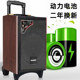 Temeson A8-24 Outdoor high-power square dance lever mobile sound zone wireless microphone K song Bluetooth speaker

