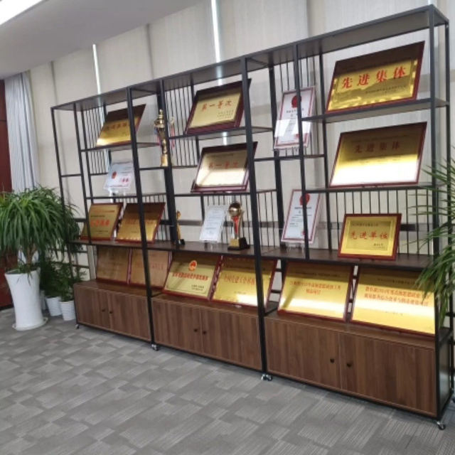 Company medal trophy certificate display honor display rack corporate ...