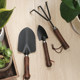 Japanese species flower tool garden art small shovel digging vegetables, home pine earth, three -tooth rake potted polychide shovel shovel
