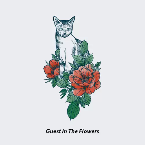 纹身贴猫花 新人首单立减十元 22年2月 淘宝海外