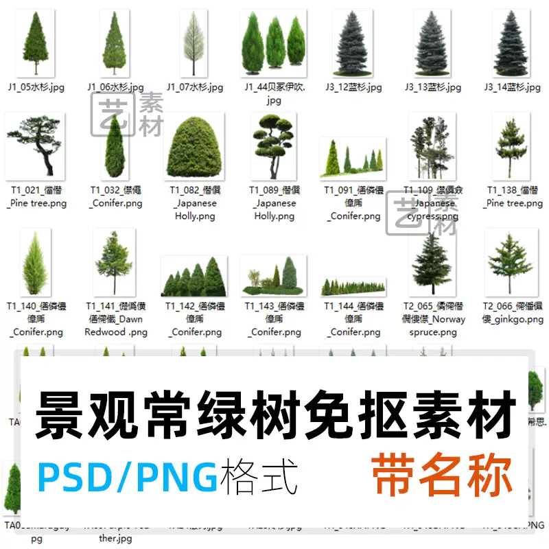 蜀桧-新人首单立减十元-2021年12月淘宝海外