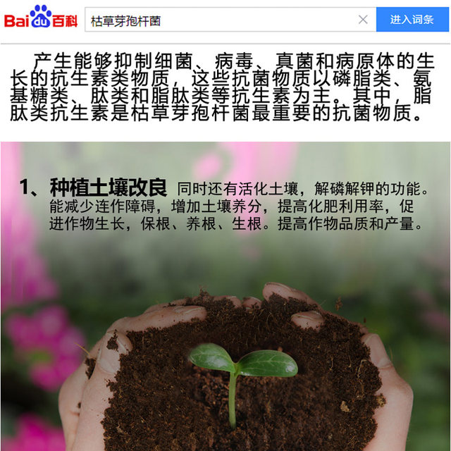 Bacillus subtilis organic vegetable soil improvement bacteria agricultural disease control fertilizer planting single microbial bacteria