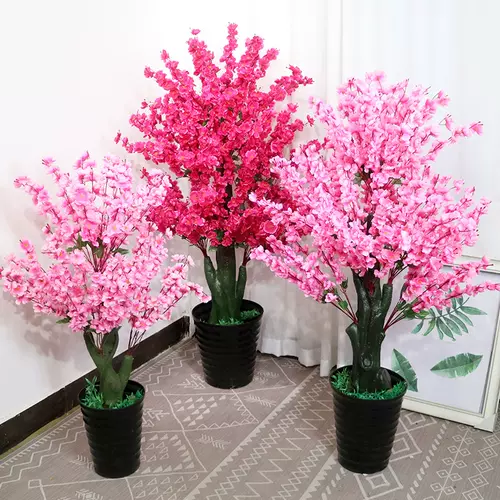 桃花大花盆 新人首单立减十元 22年2月 淘宝海外