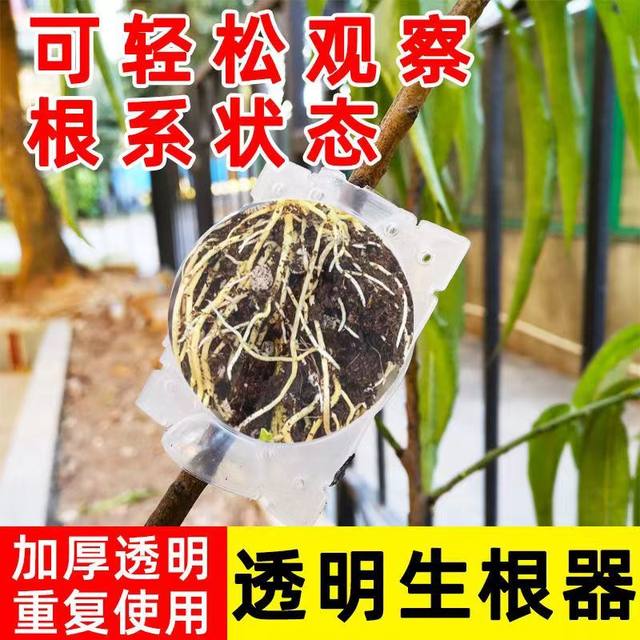 Plant-specific high-pressure grafting rooting box grafting cuttings rooting artifact transparent sphere with lock gardening supplies