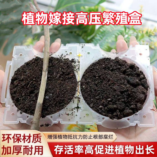Plant-specific high-pressure grafting rooting box grafting cuttings rooting artifact transparent sphere with lock gardening supplies